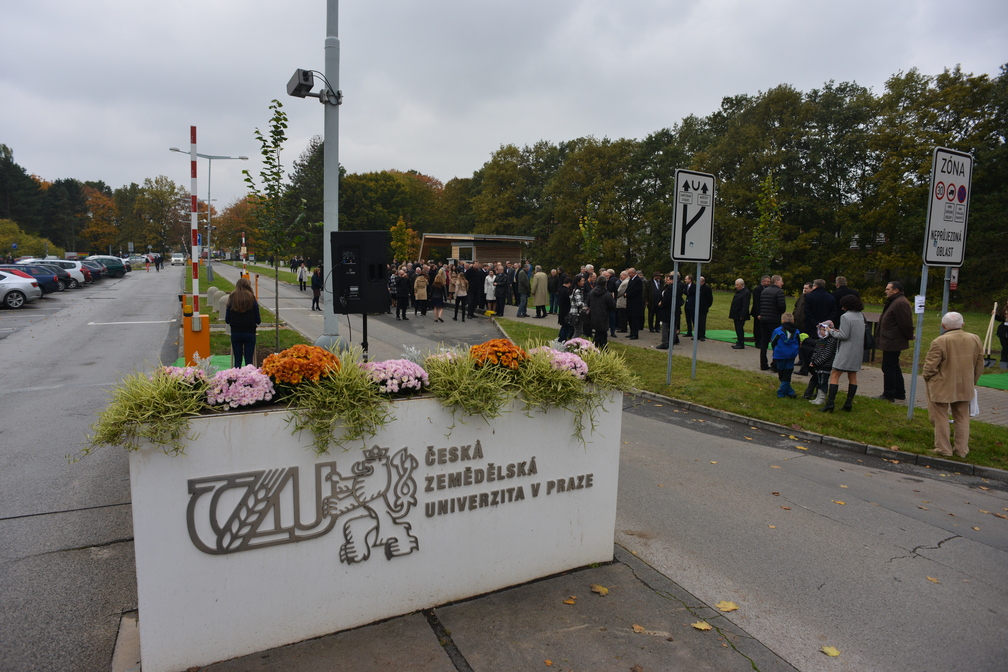 CZU110-hi-14.jpg