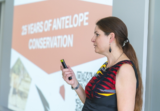 antilopy25let-0003