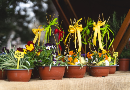 velikonocni trhy 2026 - 0011